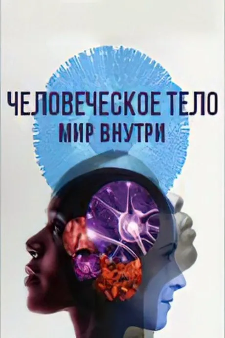 Человеческое тело: мир внутри